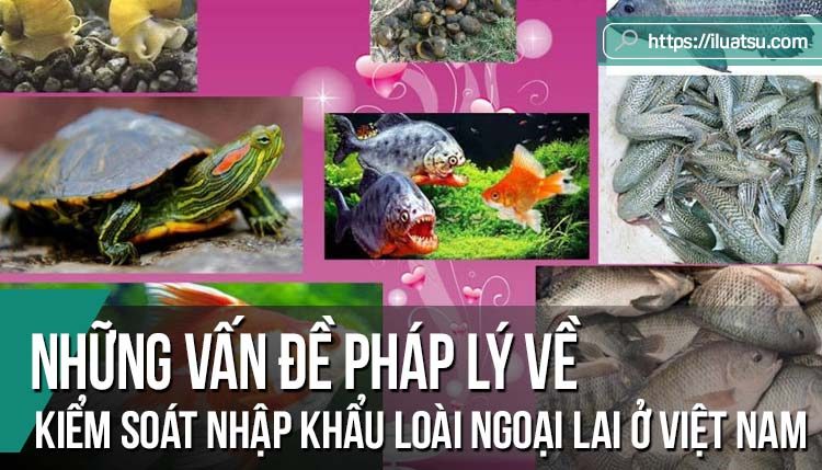 Những vấn đề pháp lý về kiểm soát nhập khẩu loài ngoại lai ở Việt Nam