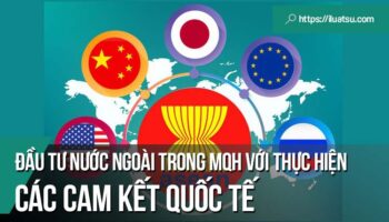Pháp luật về đầu tư nước ngoài của Việt Nam trong mối quan hệ với việc thực hiện các cam kết quốc tế trong khuôn khổ ASEAN