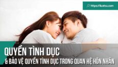 Quyền tình dục và bảo vệ quyền tình dục trong quan hệ hôn nhân theo pháp luật Việt Nam