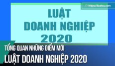 Tổng quan những điểm mới của Luật Doanh nghiệp năm 2020