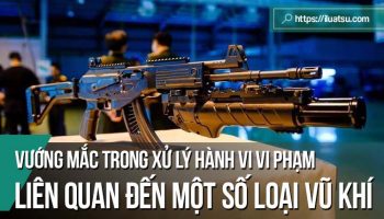 Vướng mắc trong xử lý hành vi vi phạm liên quan đến một số loại vũ khí và đề xuất hoàn thiện quy định pháp luật của Việt Nam